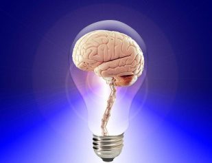 Brain, Think, Human, Idea, Intelligence, Mind, Creative